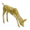 Image de Biche Dorée 120 LED Blanc Brilliant Décoration de Noël Extérieur Jardin