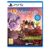 Image de Wildermyth PS5
