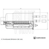 Image de Filtre À Carburant Adbp230030 Blue Print Blue Print Adbp230030 Citroen;Fiat;Peugeot