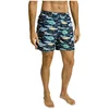 Image de Hackett Short De Bain Big Fish
