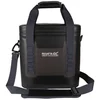 Image de Regatta Glacière Souple Portable Shield 10l