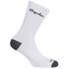 Image de Rapha - Logo Socks - Chaussettes vélo White / Grey - M