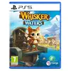 Image de Whisker Waters PS5