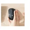 Image de MK295 Silent - Ensemble clavier et souris - sans fil - 2.4 GHz - Italien - graphite