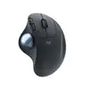 Image de Logitech ERGO M575 for Business - Sans-Fil/Graphite