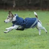 Image de Bucas Freedom Dog 300g - Marine/Argenté 35