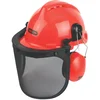 Image de Visière de protection forestière Oregon avec casque antibruit