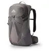 Image de Gregory Juno 24 - Sac à dos, 52 cm, 24 L, 0.88 KG, Gris (Torch Grey) en occasion ou reconditionné