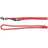 Image de Flamingo Laisse Pour Chien Aiden Training