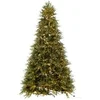 Image de Sapin de Noël Artificiel 4000 LED "Prince" 325cm Vert