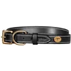 Image de Dyon Collier De Chien Flat Leather 70 cm