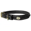 Image de Dyon Collier De Chien Plaited