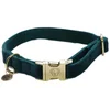 Image de Kentucky Collier De Chien Velvet