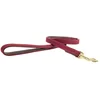 Image de Kentucky Laisse Pour Chien Nylon Plaited 15 Mm