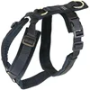 Image de Kentucky Harnais Pour Chien Active Velvet