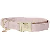 Image de Kentucky Collier De Chien Velvet