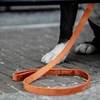 Image de Kentucky Dogwear Laisse pour chien "Velvet" - Orange 120
