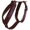 Image de Kentucky Harnais Pour Chien Active Velvet