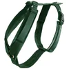Image de Kentucky Harnais Pour Chien Active Velvet