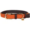 Image de Kentucky Collier De Chien Nylon Plaited