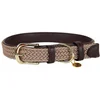 Image de Kentucky Collier De Chien Nylon Plaited