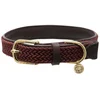 Image de Kentucky Collier De Chien Nylon Plaited
