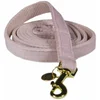 Image de Kentucky Laisse Pour Chien Velvet 15 Mm