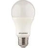 Image de Lampe TOLEDO GLS A60 IRC 80 230V 1055lm - - 0029590