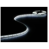 Image de Ruban à led blanc froid 600 led's 5m 24 volts