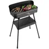 Image de FRITEL BBQ 2246