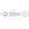 Image de Ressort De Suspension Monroe Oespectrum Springs Sp3665 Monroe Sp3665 Nissan