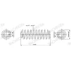 Image de Ressort De Suspension Monroe Oespectrum Springs Sp3678 Monroe Sp3678 Skoda;Volkswagen