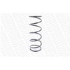 Image de Ressort De Suspension Monroe Springs Se2457 Monroe Se2457 Ford
