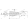 Image de Ressort De Suspension Monroe Oespectrum Springs Sp4084 Monroe Sp4084 Citroen;Fiat;Peugeot
