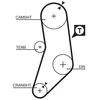 Image de Courroie De Distribution 5077 Gates Gates 5077 Bmw