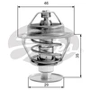 Image de Thermostat D'Eau Th10489g1 Gates Gates Th10489g1 Chevrolet;Citroen;Nissan;Peugeot;Rover