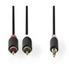 Image de Câble audio stéréo 3,5 mm mâle - 2x rca mâles 1,0 m anthracite