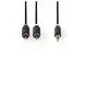 Image de Câble audio stéréo 3,5 mm mâle - 2x rca mâles 5,0 m anthracite