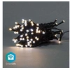 Image de Guirlande lumineuse wi-fi intelligente à led blanc chaud à froid 50 led's 20m android / ios