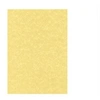 Image de DECAdry PCL1600 - Parchemin - or - A4 (210 x 297 mm) - 95 g/m² - 100 feuille(s) papier texturé