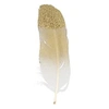 Image de 6 plumes dorées à paillettes