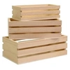 Image de Ensemble de mini cagettes en bois 3 pièces - artémio