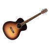 Image de Guitare folk JN Guitars EZR-Bariton Sunburst