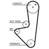 Image de Courroie De Distribution 5575xs Gates Gates 5575xs Citroen;Fiat;Peugeot
