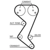 Image de Courroie De Distribution 5608xs Gates Gates 5608xs Citroen;Peugeot