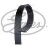 Image de Courroie Trapézoïdale À Nervures Fleetrunner? Micro-V® 6pk2065hd Gates Gates 6pk2065hd Bmw;Chevrolet;Kia;Mercedes-Benz;Opel;Vauxhall;Volkswagen