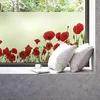 Image de Ambiance Sticker Film Fenêtre Anti Regard Occultant - Coquelicots - Stickers pour Vitres & Porte de Douche - 40x100cm en occasion ou reconditionné