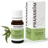 Image de Pranarôm - Huile Essentielle d'Eucalyptus globuleux - 10 ml