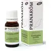 Image de Pranarôm - Huile Essentielle d'Eucalyptus smithii - 10 ml - Bio