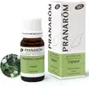 Image de Pranarôm - Huile Essentielle de Cajeput - 10 ml - Bio